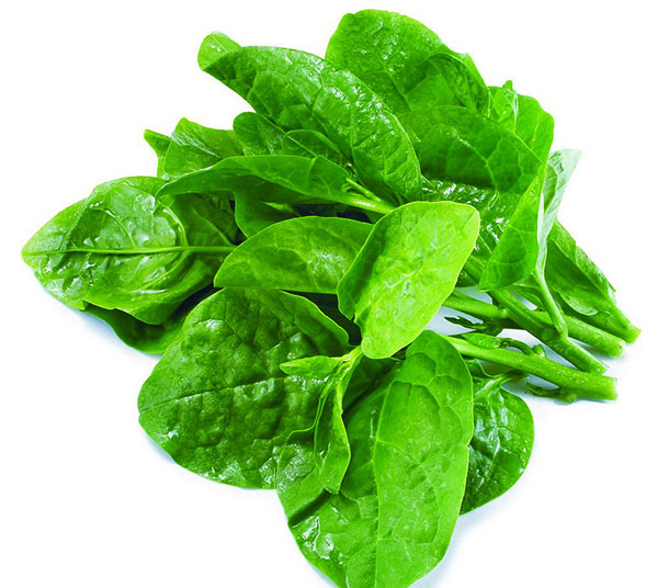 Fresh Vegetables