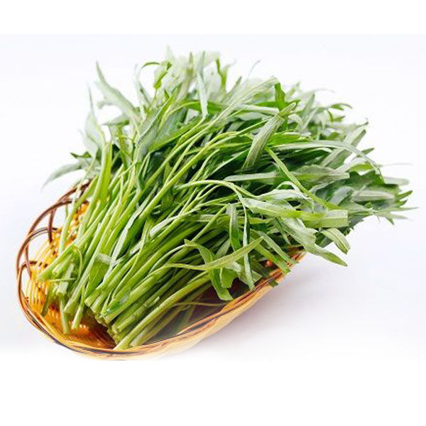 Fresh Vegetables