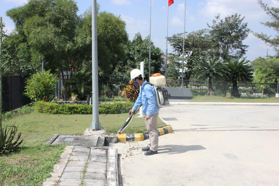 Pest control service