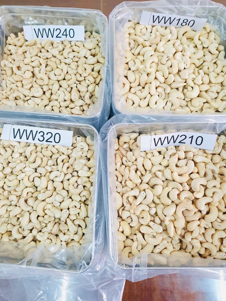 White Cashew Kernels