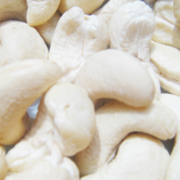 W240 Cashew Kernels