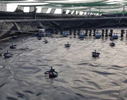 HDPE Waterproofing membrane