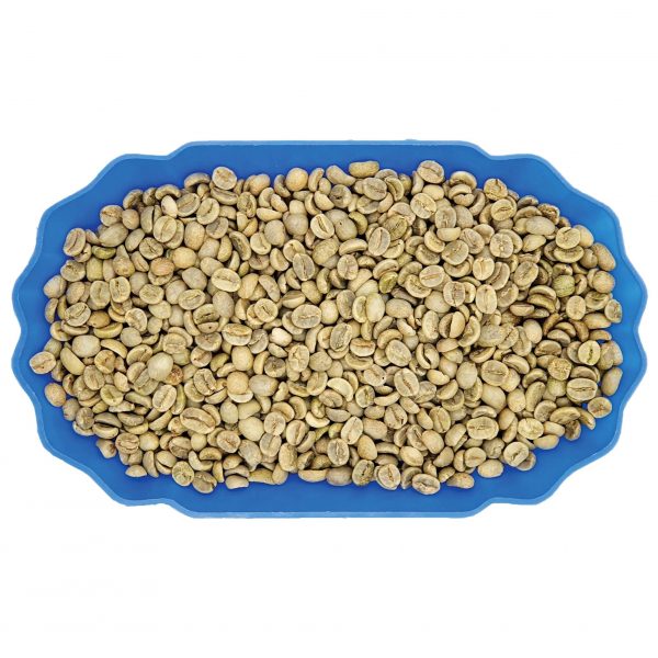Arabica Premium S18 Fully Washed