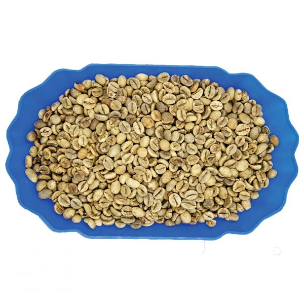 Robusta Grade 1 S18 Wet Polished