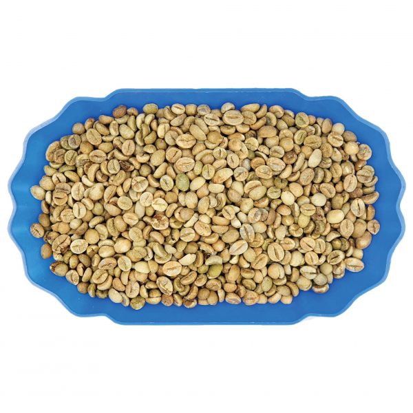 Robusta S16 Premium Honey
