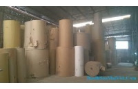 Paper roll