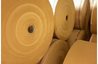 Paper roll