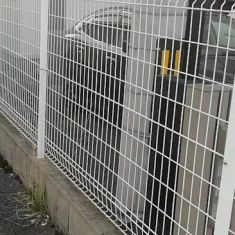 Wire mesh