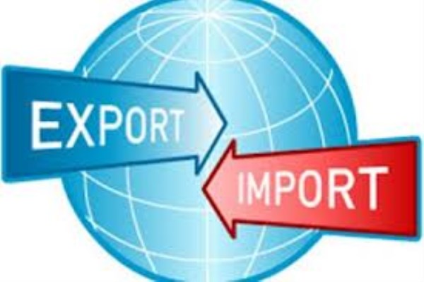 Import and export consulting service