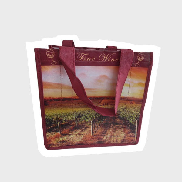 Non-woven wine bag