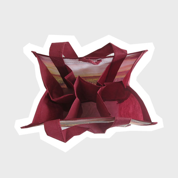 Non-woven wine bag