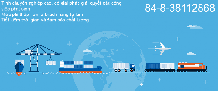 Customs service