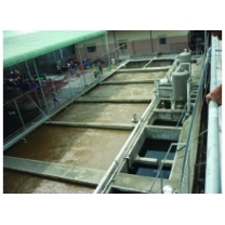 Dyeing wastewater treatment