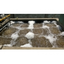 Domestic wastewater treatment