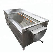 Fruit washer