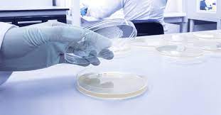 Environmental Monitoring Service