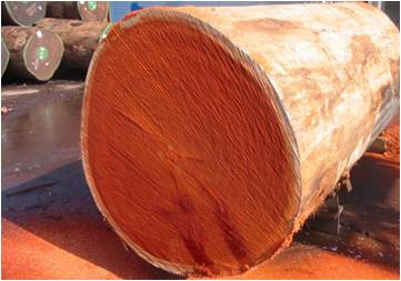 Red wood