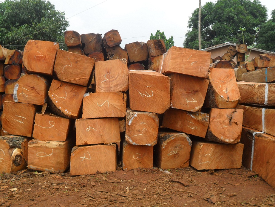 Kosso wood