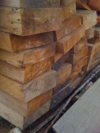 Clove wood