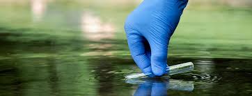 Environmental Consultant