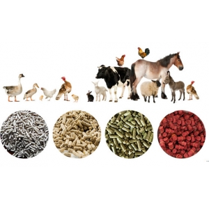 Animal feed making equipment