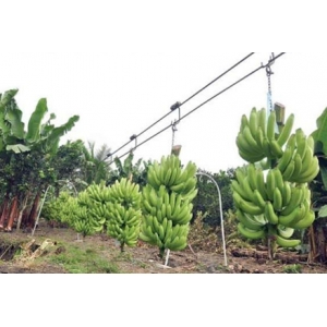 Agricultural product collection system