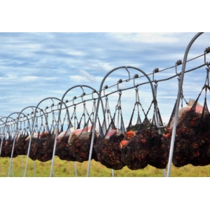 Agricultural product collection system