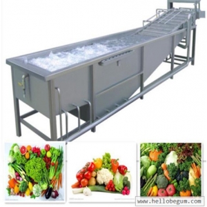 Fruit and vegetable washing machine