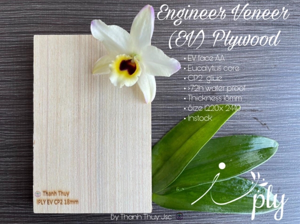 Plywood