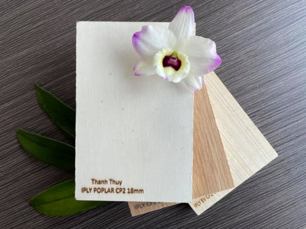 Plywood