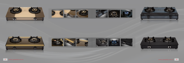 Gas stove