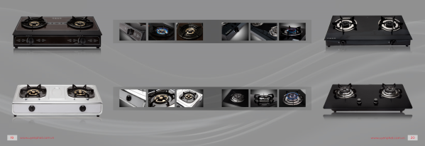 Gas stove