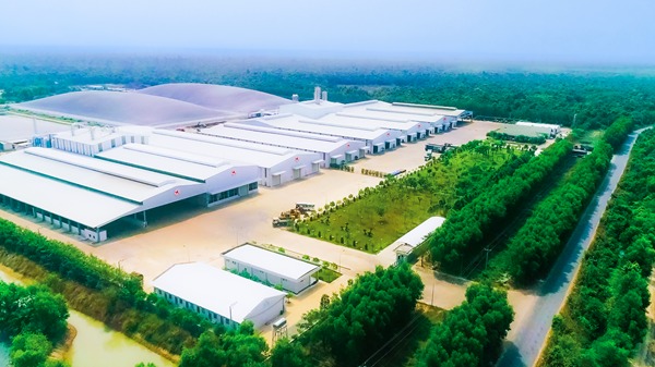 Hung Duy Tay Ninh Tapioca Starch Processing Plant