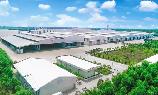 Hung Duy Modified Tapioca Starch Factory