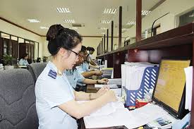 Customs services