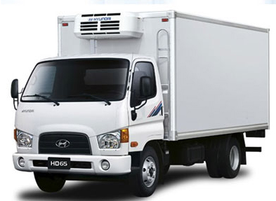 Transportation services