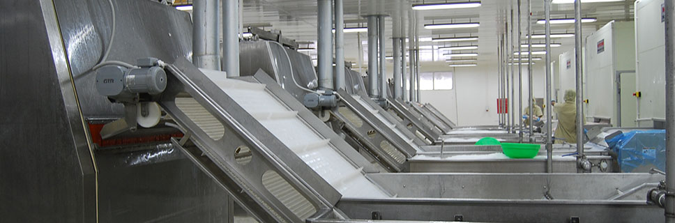 Seafood Processing Industry