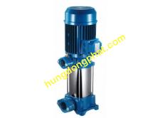 Industrial water pumps