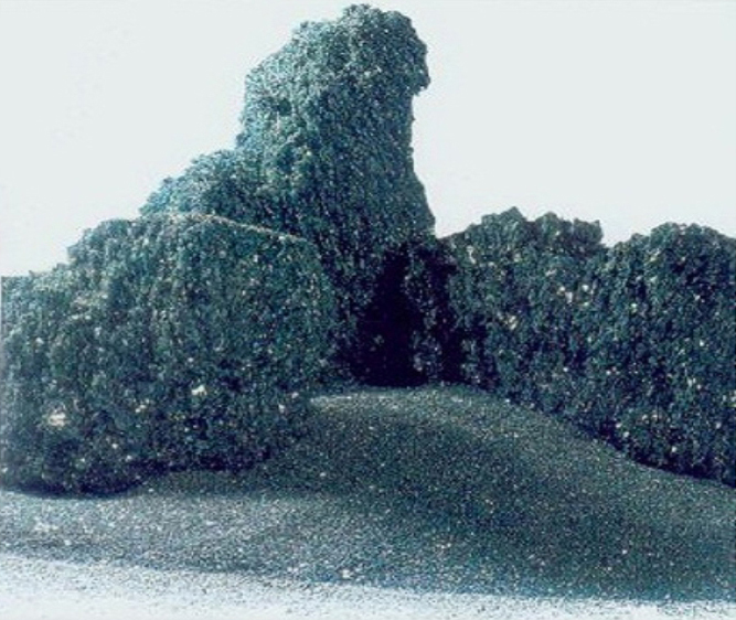 Abrasive grain