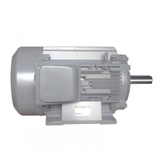 3-phase Electric Motor