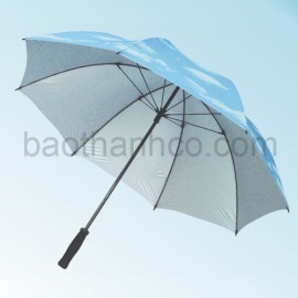 Umbrella
