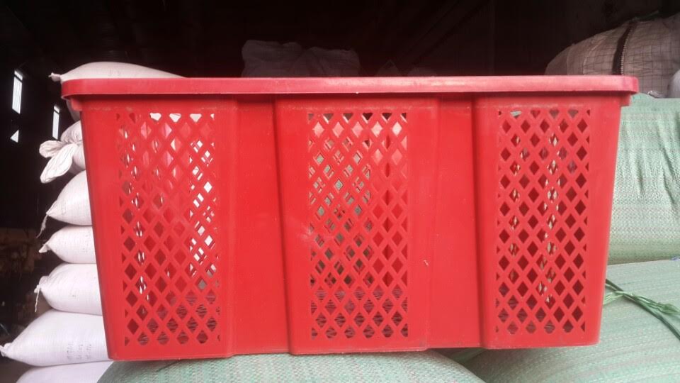 Plastic Container