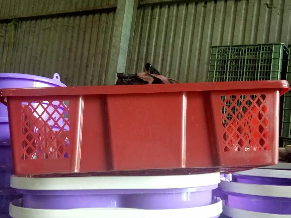 Plastic Container