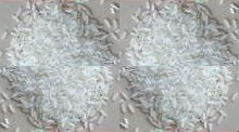 Western Specialies Rice