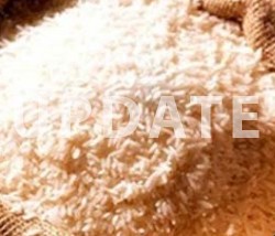 Western Specialies Rice