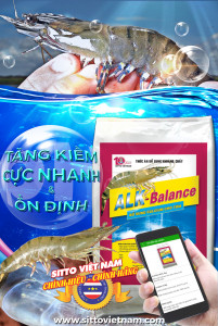 Mineral supplement for shrimp