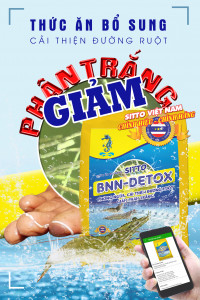 Supplementary food for shrimp
