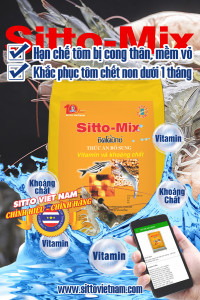 Supplementary food for shrimp