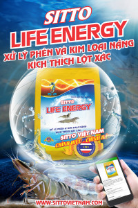 Supplementary food for shrimp
