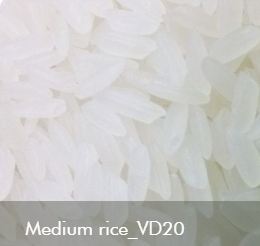 Medium rice